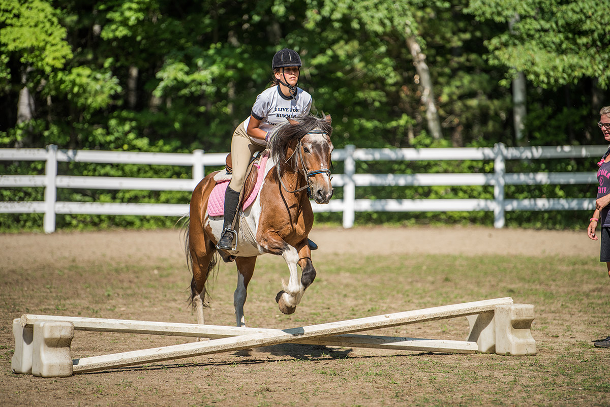 act-horse